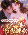 沈老师娇软可口,季总他夜夜缠欢
