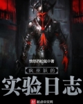 疯巫妖的实验日志