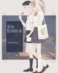 爱如惊鸿转身