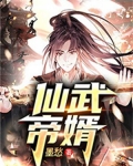 仙武帝婿