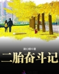 二胎奋斗记