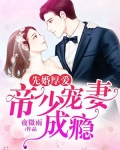 先婚厚爱:帝少宠妻成瘾