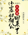 分家后,小寡妇相公从京城回来了