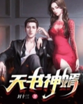 天书神婿