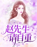 赵先生,请自重