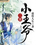 二货小王爷