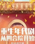 重生年代剧：从四合院开始
