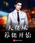 大佬从养猪开始