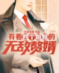 有着四个姐姐的无敌赘婿