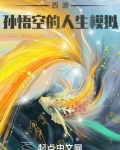 西游:孙悟空的人生模拟