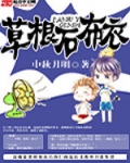 草根石布衣