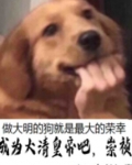 成为大清皇帝吧,崇祯!