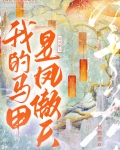 我的马甲是凤傲天