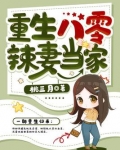 重生八零辣妻当家