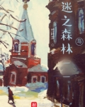 迷之森林——鸟
