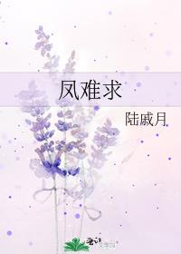 凤难求