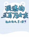 顶流的五百万女友