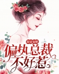 限量宠婚:偏执总裁不好惹