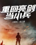 重回亮剑当小兵