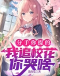分手你提的,我追校花你哭啥