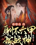 新婚夜,我身怀六甲嫁战神