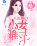 名门盛宠：小妻难寻