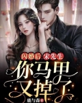 闪婚后,宋先生你的马甲又掉了