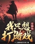 我只想安静地打游戏