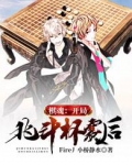 棋魂:开局北斗杯赛后