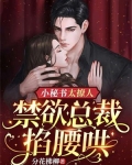 小秘书太撩人,禁欲总裁掐腰哄