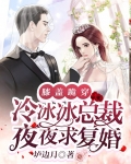 膝盖跪穿,冷冰冰总裁夜夜求复婚