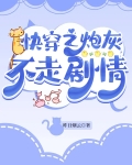快穿之炮灰不走剧情