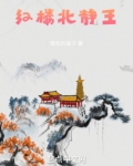 红楼北静王