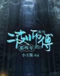 我当二皮师傅那些年