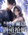 贪恋成痴，谢总霸道抢婚