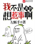 我不是真的想惹事啊