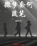 微梦奈何随笔