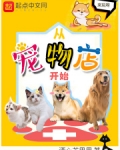 从宠物店开始