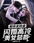 相亲走错桌,闪婚高冷美女总裁