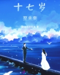 十七岁至未来