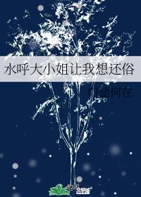 水呼大小姐让我想还俗宝书
