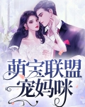 萌宝联盟宠妈咪