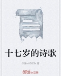 十七岁的诗歌