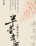 半壶老酒，邀月对坐