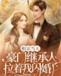 相亲当天,豪门继承人拉着我闪婚了