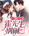 一胎三宝:霍先生别闹