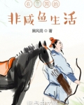 在三国的非咸鱼生活