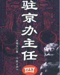 驻京办主任(四)
