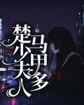 楚少夫人马甲多
