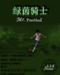 绿茵骑士